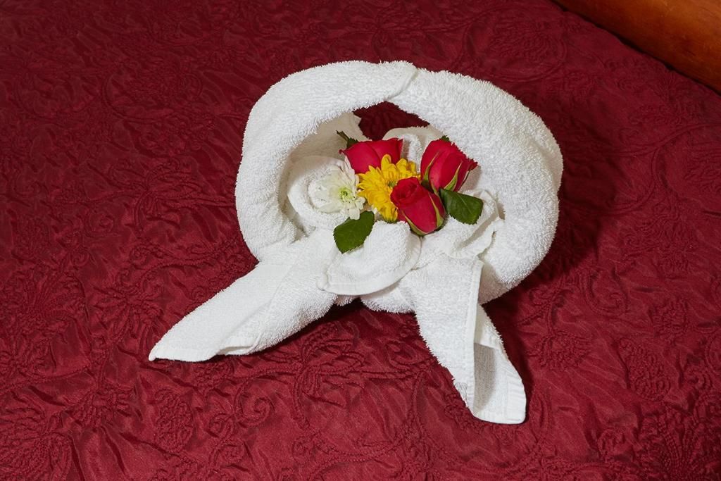 Отель Uppercross House Hotel Дублин-52