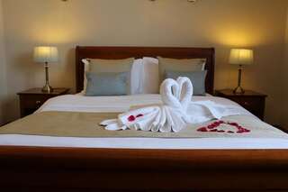 Отель Uppercross House Hotel Дублин Двухместный номер с 1 кроватью-22